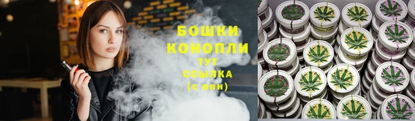 амф Горняк