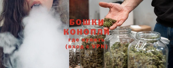 амф Горняк