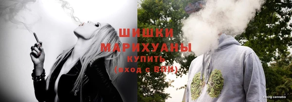 амф Горняк