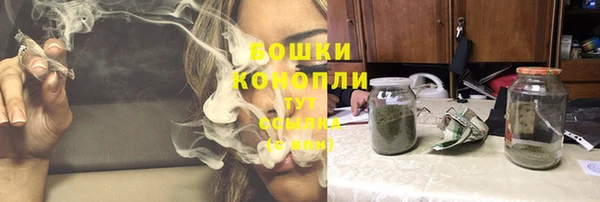 шишки Волосово