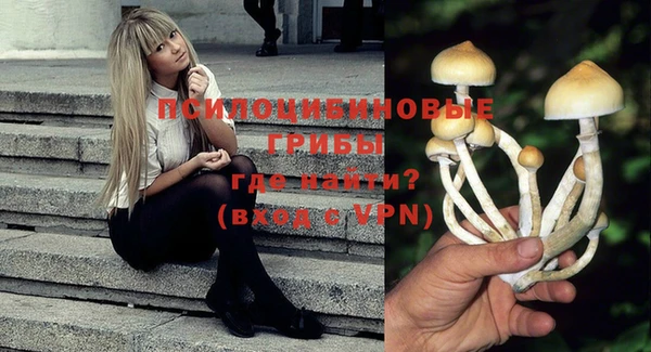 шишки Волосово
