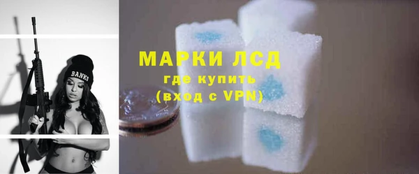 шишки Верея