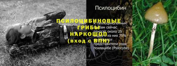 гидропоника Горно-Алтайск