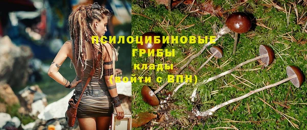 шишки Волосово