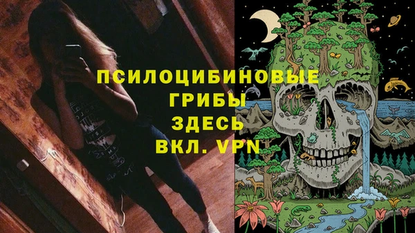 гидропоника Горно-Алтайск