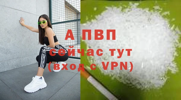 шишки Волосово