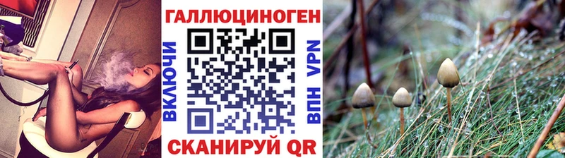 Галлюциногенные грибы Psilocybe  Елабуга 